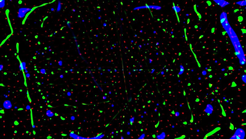 neural network visualization