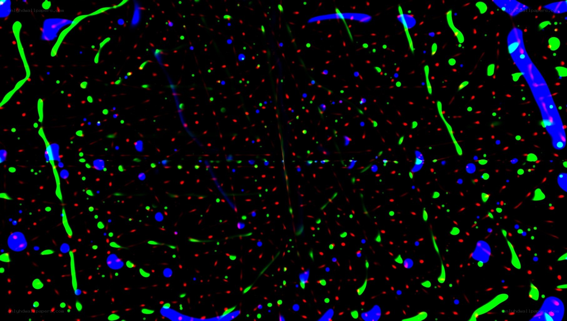 neural network visualization