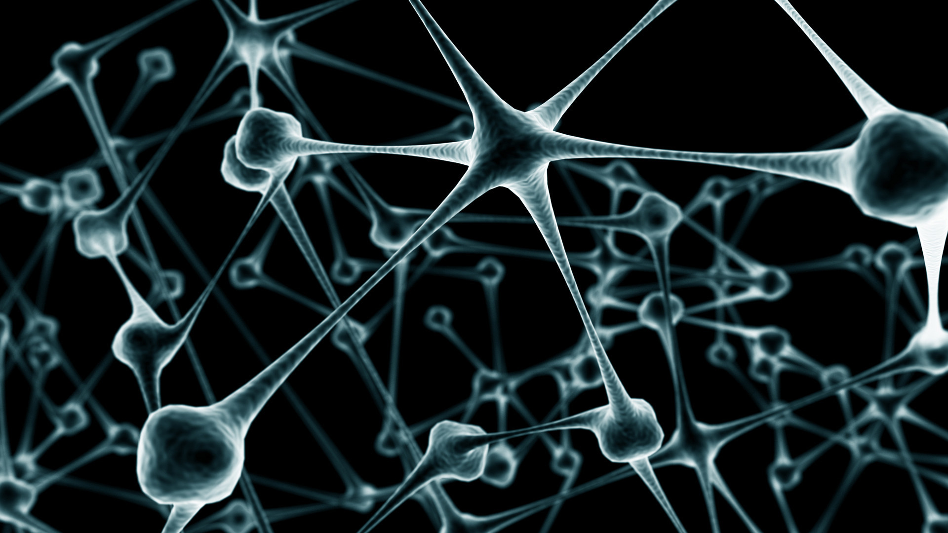 neural network visualization