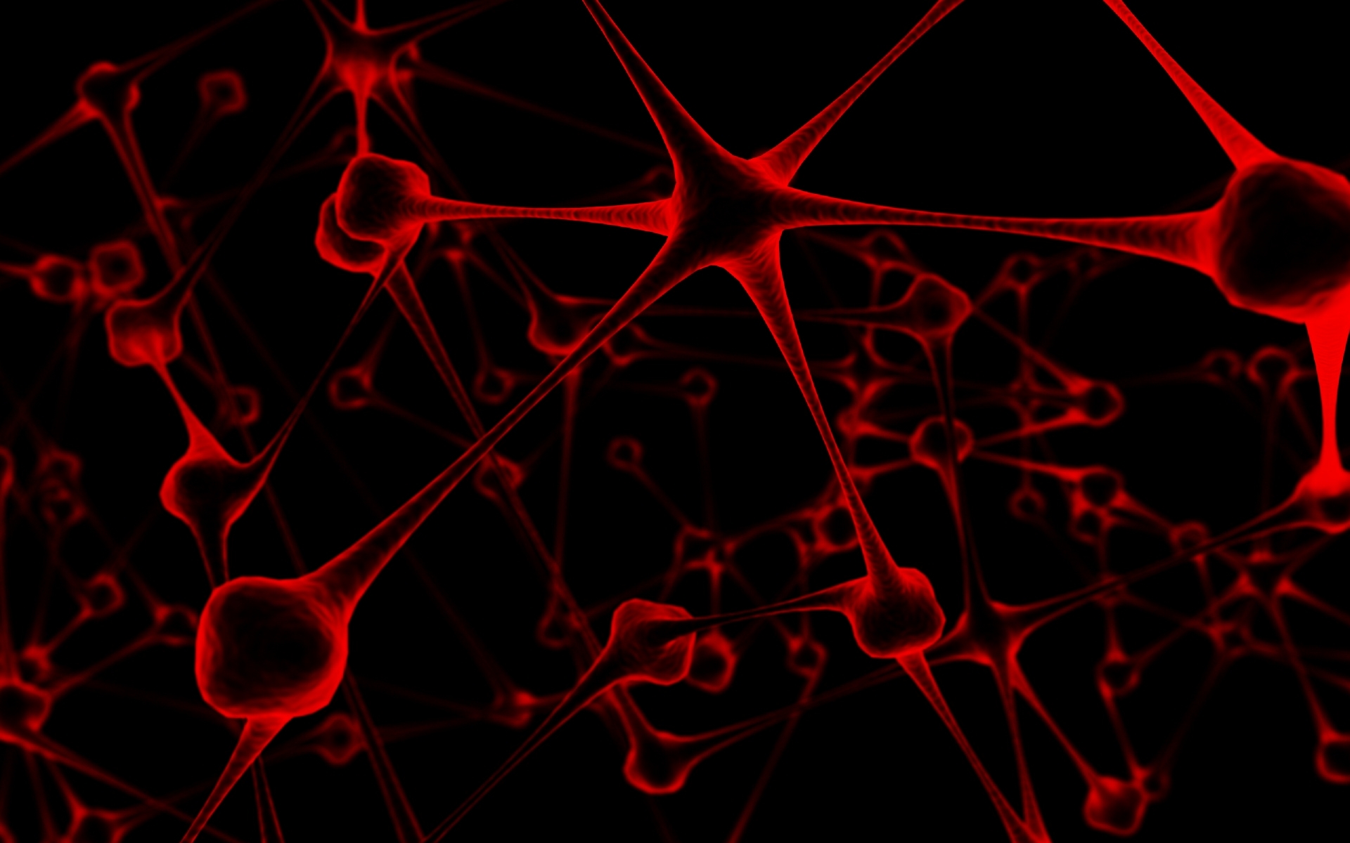 Neural network visualization