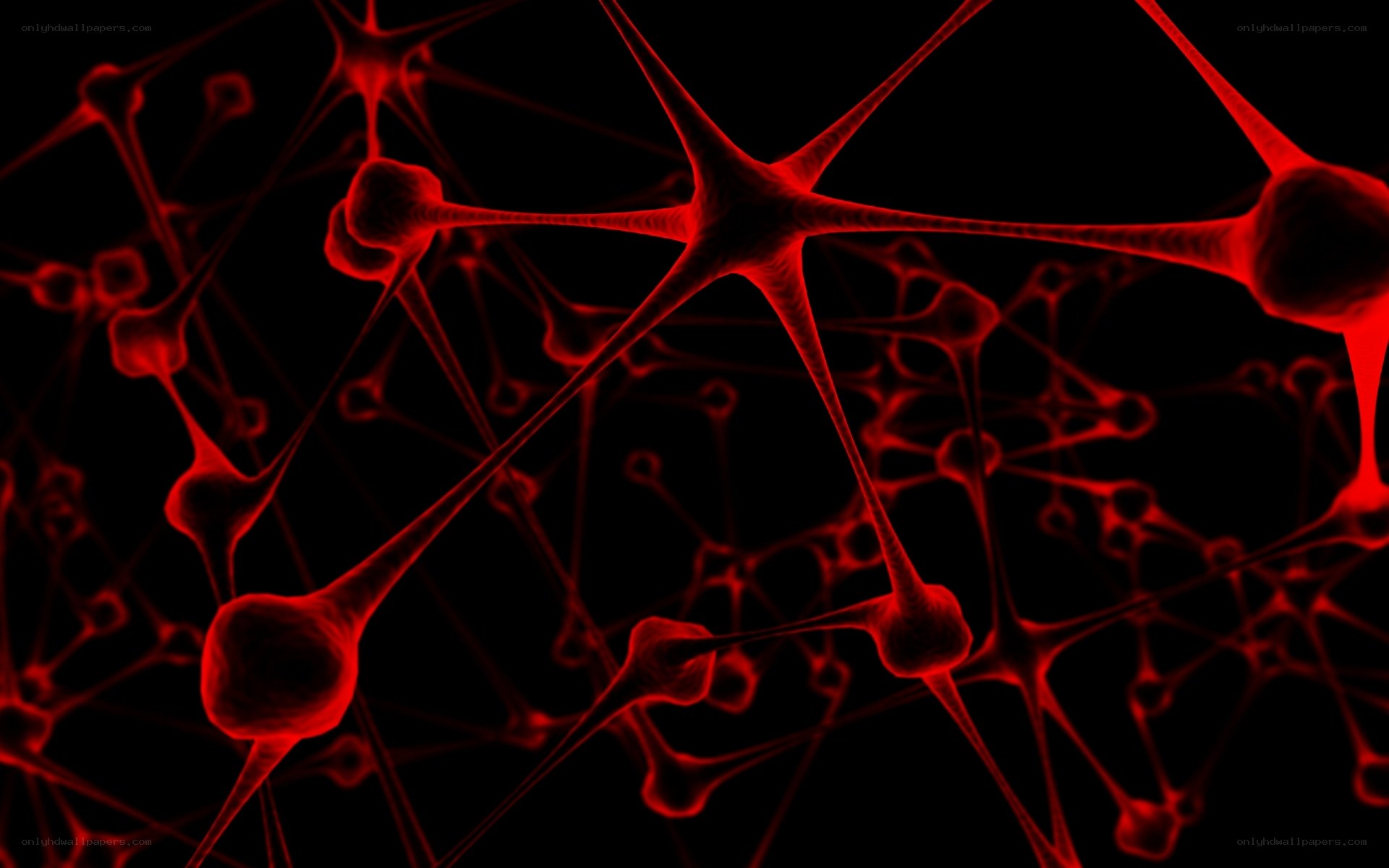 Neural network visualization