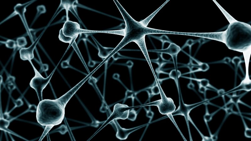 neural network visualization