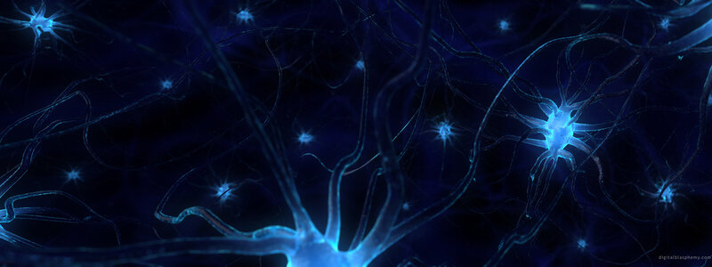 Neural network visualization