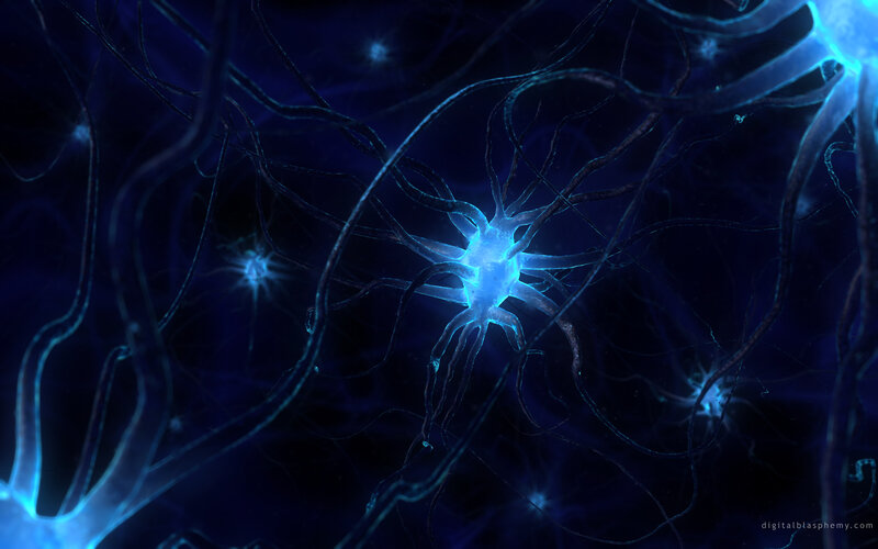 Neural network visualization