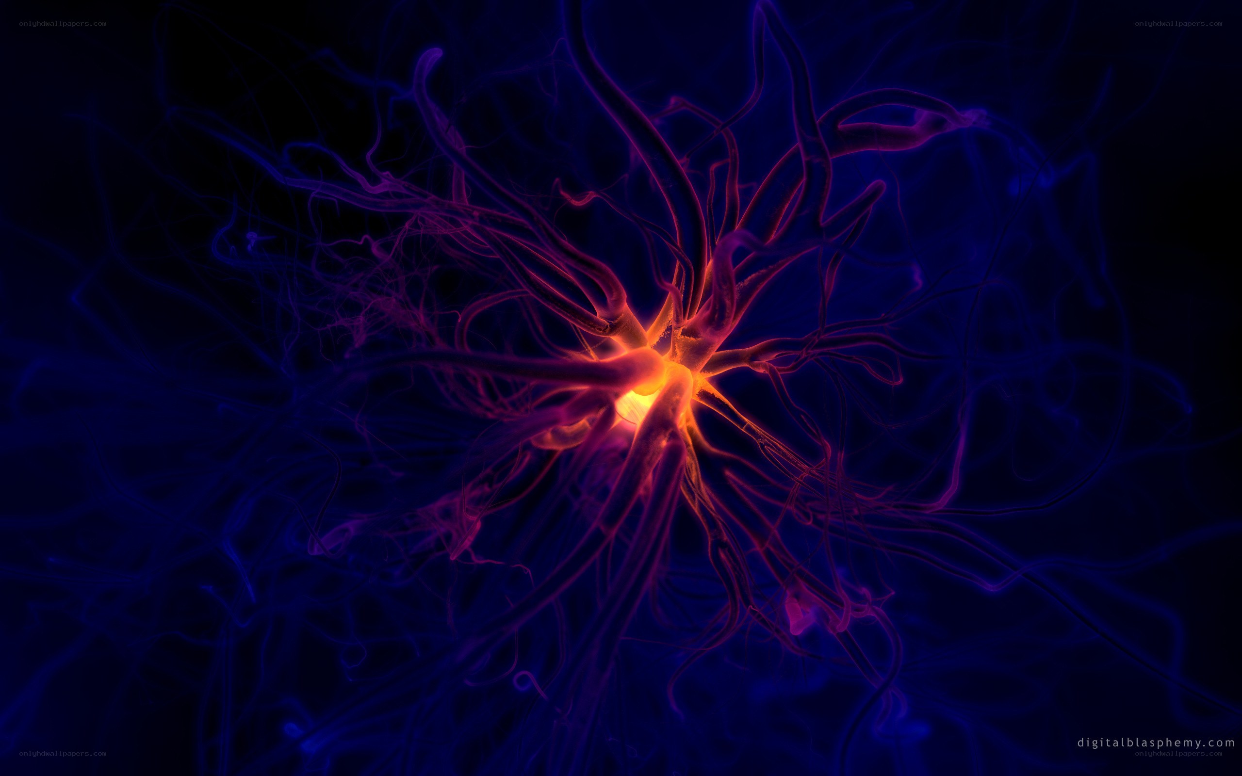neural network visualization