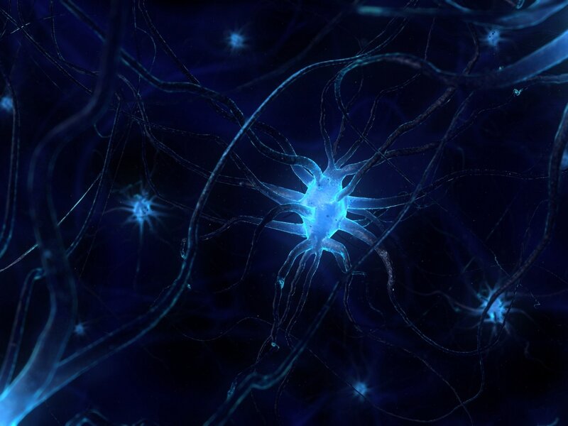 Neural network visualization