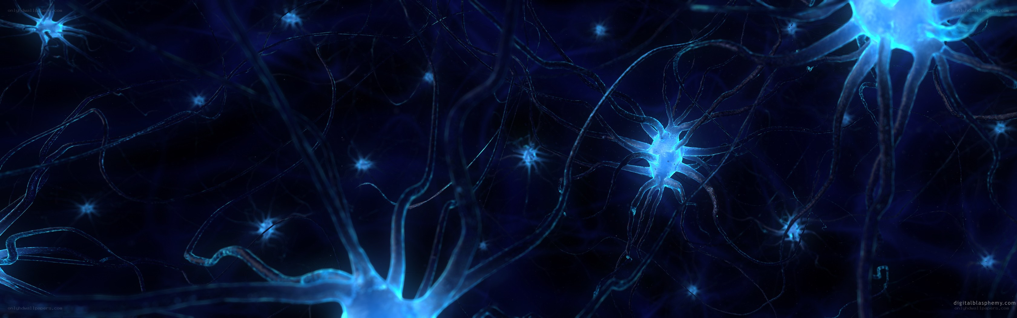 Neural network visualization