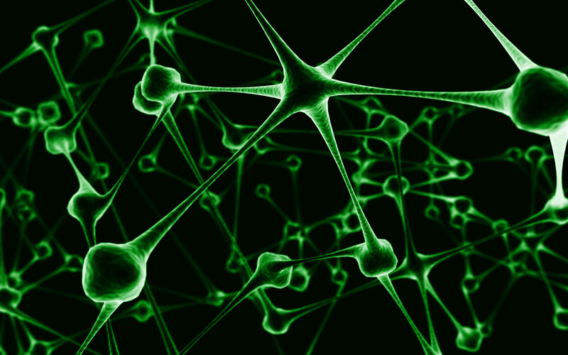 Neural network visualization
