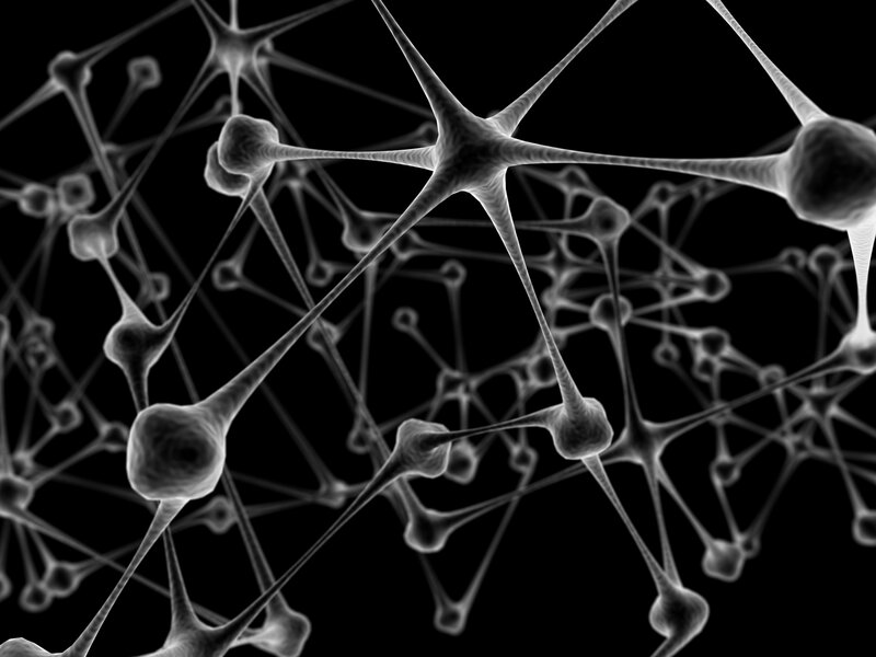Neural network visualization