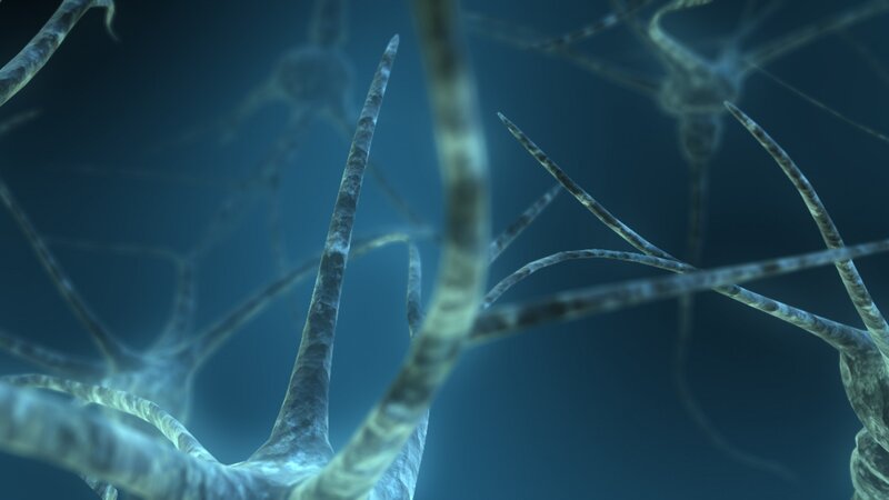 Neural network visualization