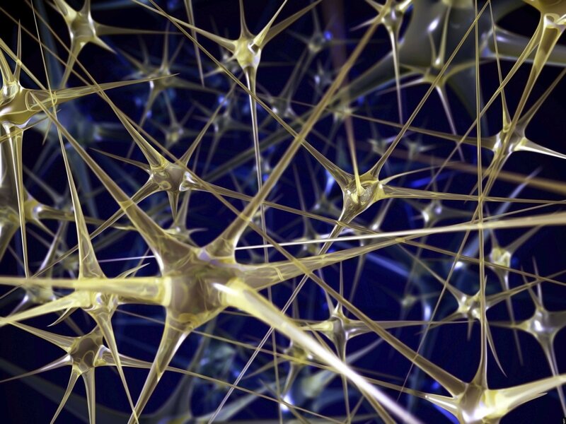 Neural network visualization