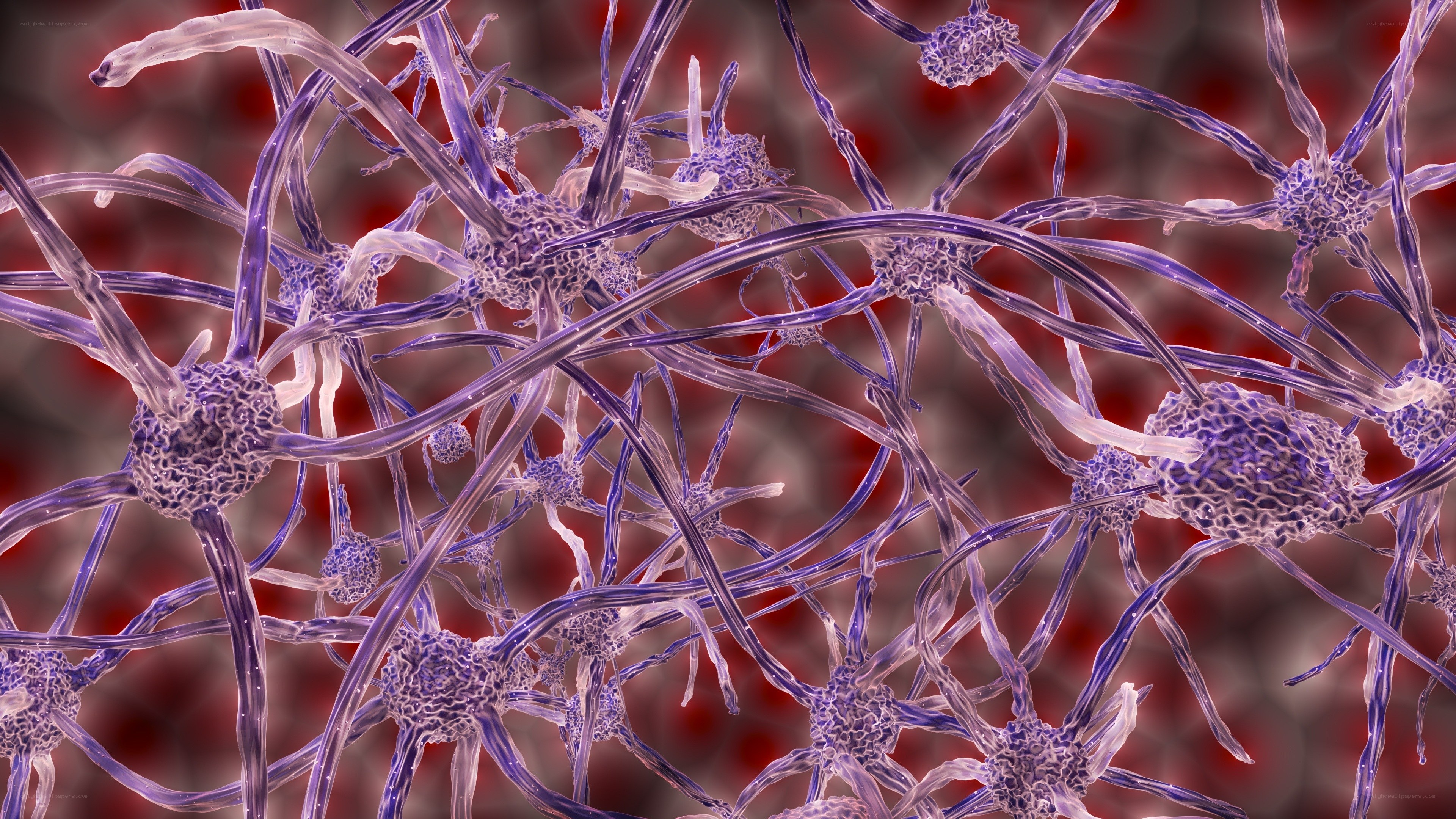 Neural network visualization
