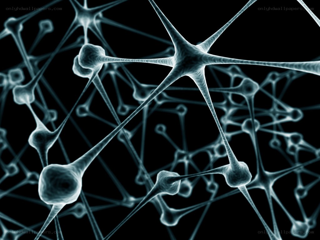 Neural network visualization