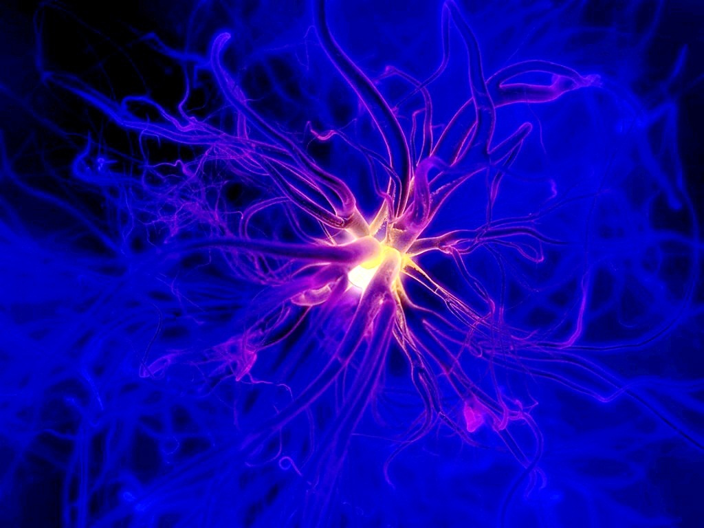 neural network visualization