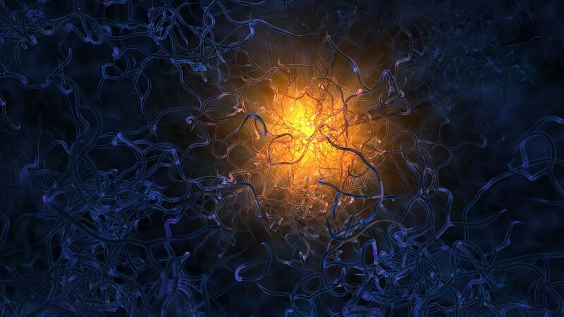 neural network visualization