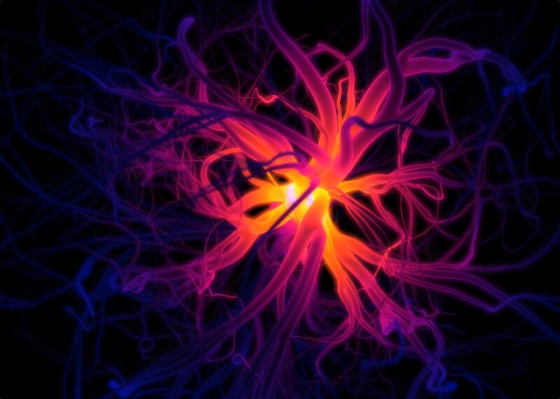 Neural Network Visualization — Purple, Energetic, Digital Art