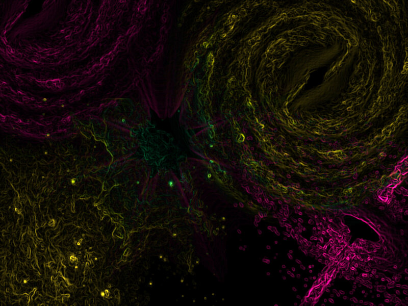 Neural Network Visualization — Purple