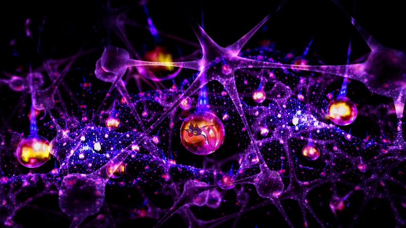Neural Network with Character