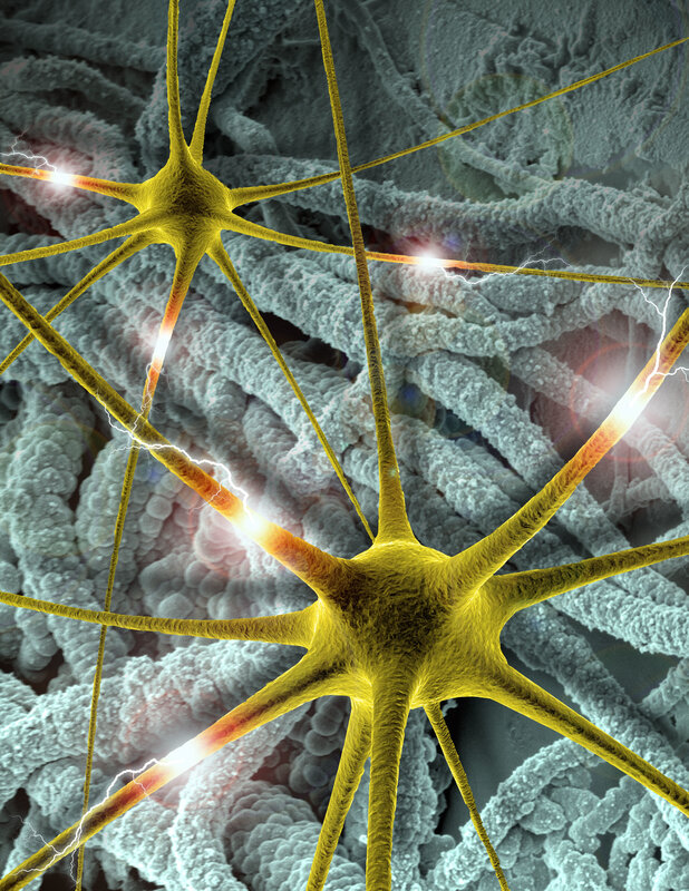Neural network with electrical signals