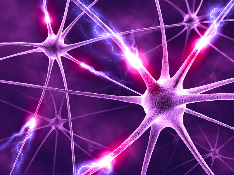 Neural network with electrical signals