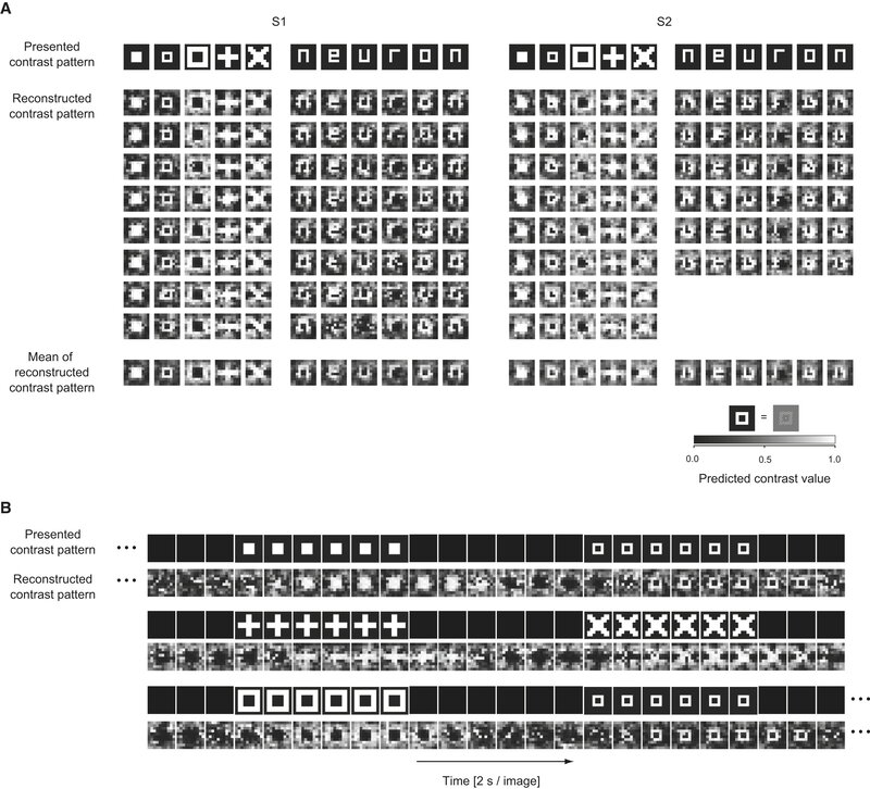 Neural pattern reconstruction