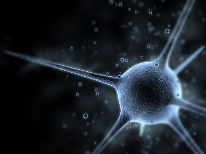 Neuron Cell — Blue