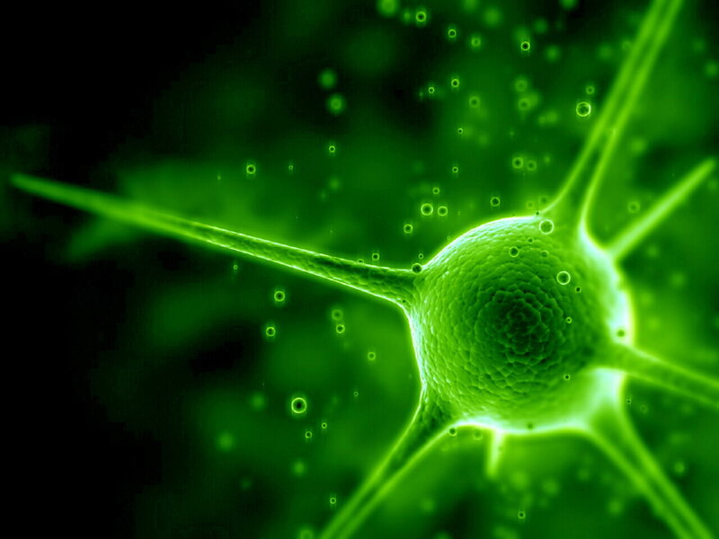 Neuron Cell — Green