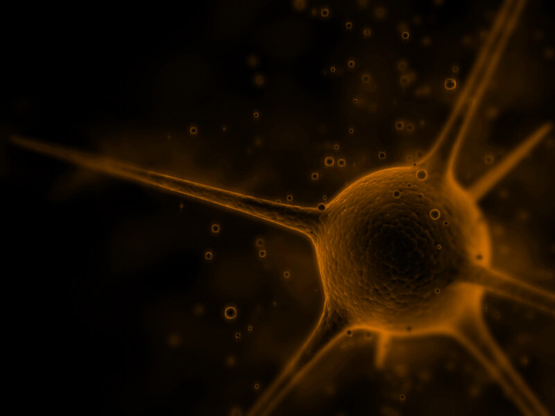 Neuron cell in neural network