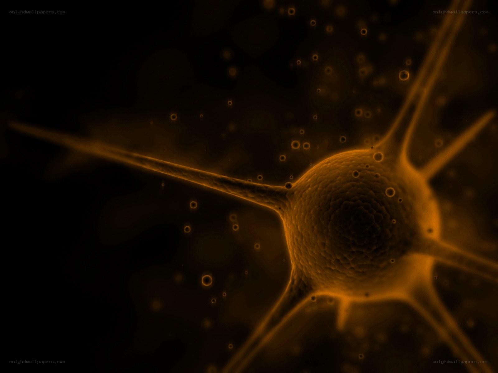 Neuron cell in neural network