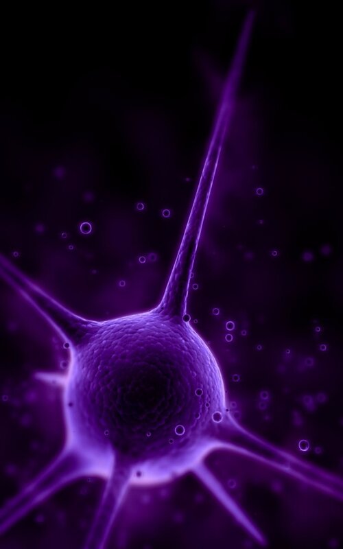 Neuron cell in purple light