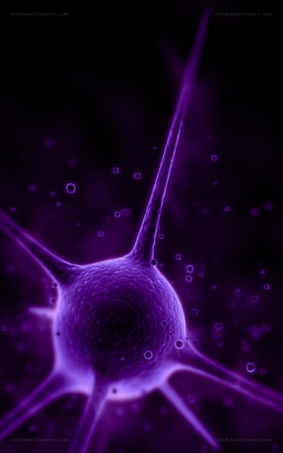 Neuron cell in purple light