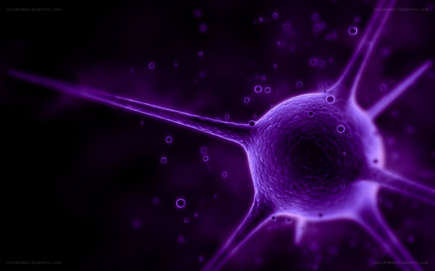 Neuron cell in purple light