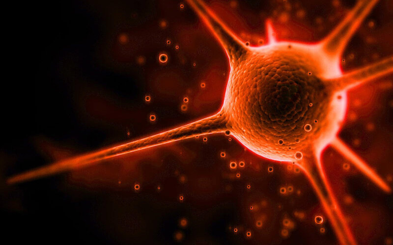Neuron cell in red light