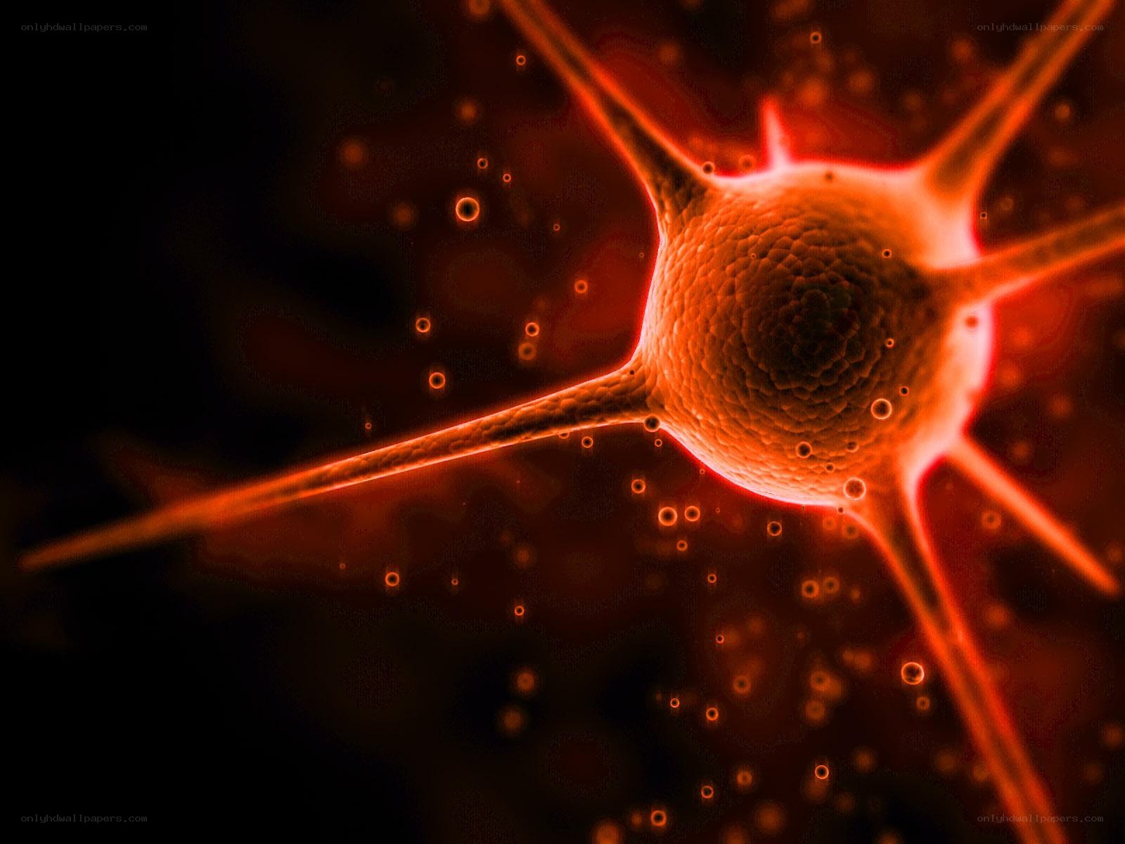 Neuron cell in red light