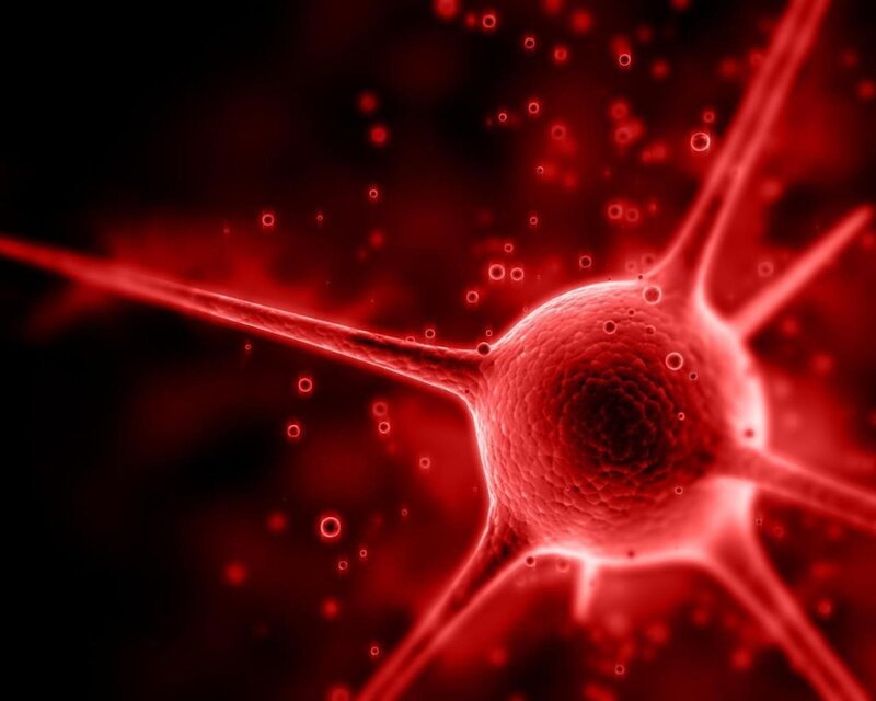 Neuron cell in red