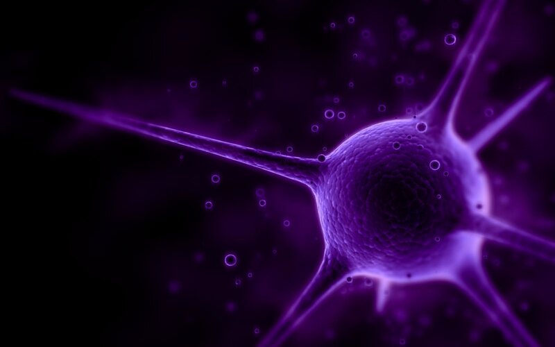 Neuron Cell — Purple