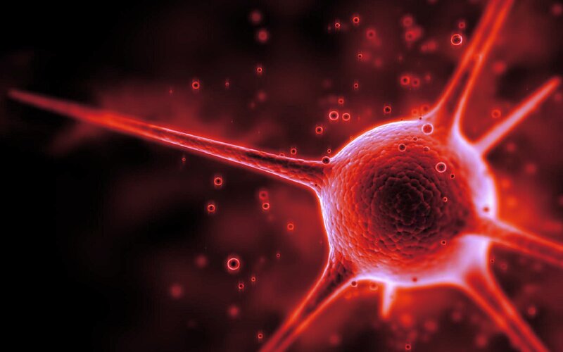 Neuron Cell — Red, Dramatic, 3d Render, Cell Body, Axons