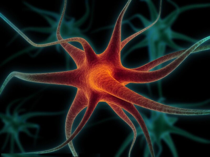 Neuron Cell — Red, Scientific, 3d Render
