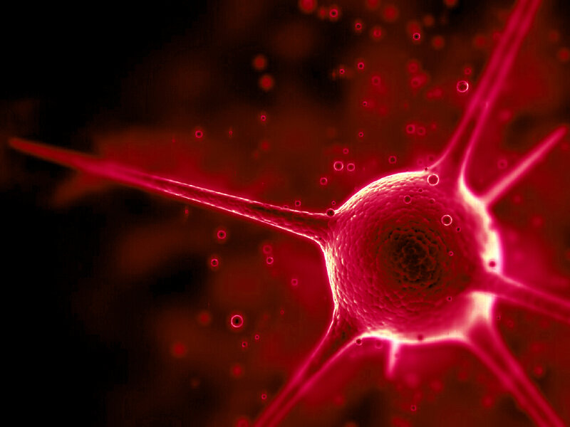 Neuron Cell — Red
