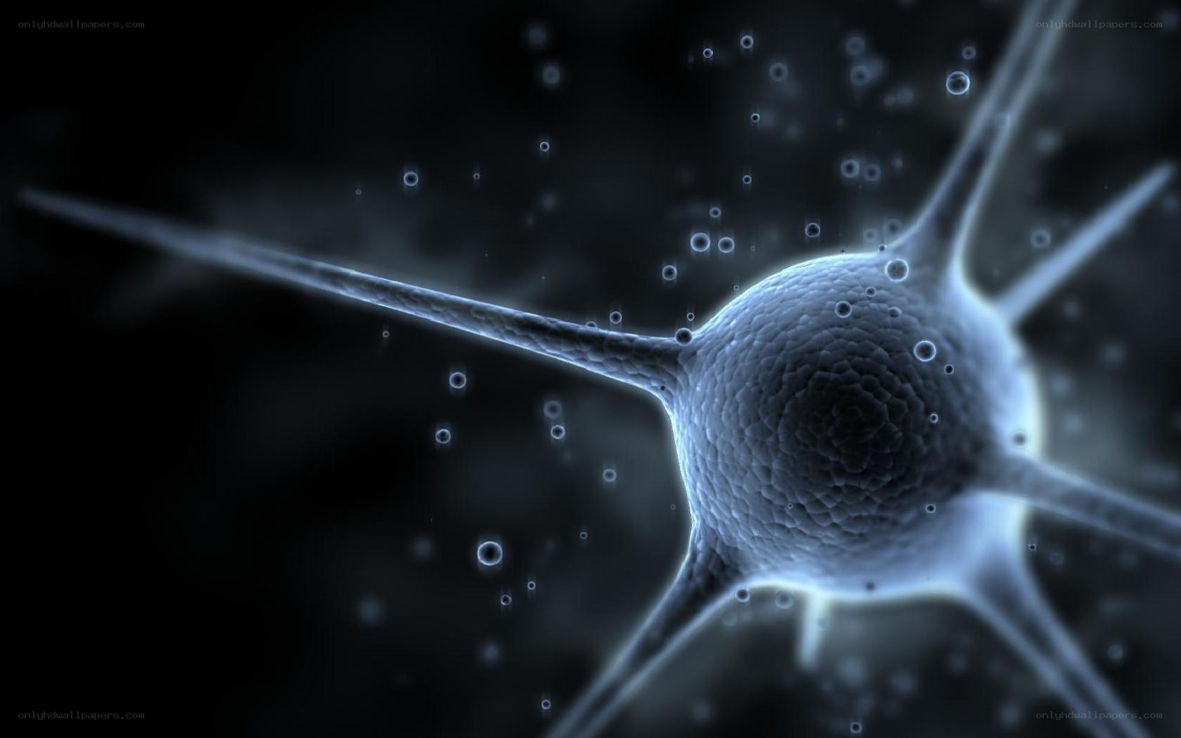 Neuron cell structure