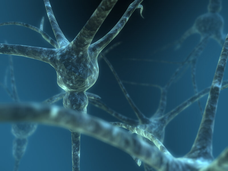 Neuron cell structure