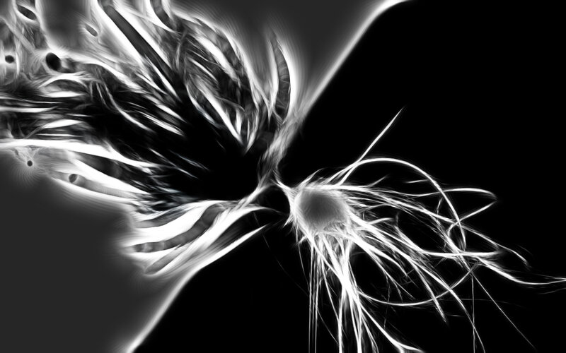 Neuron Cell Structure — Black