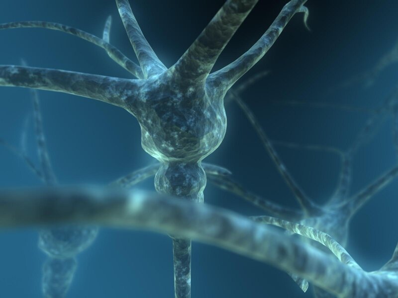 Neuron Cell Structure — Blue, Scientific