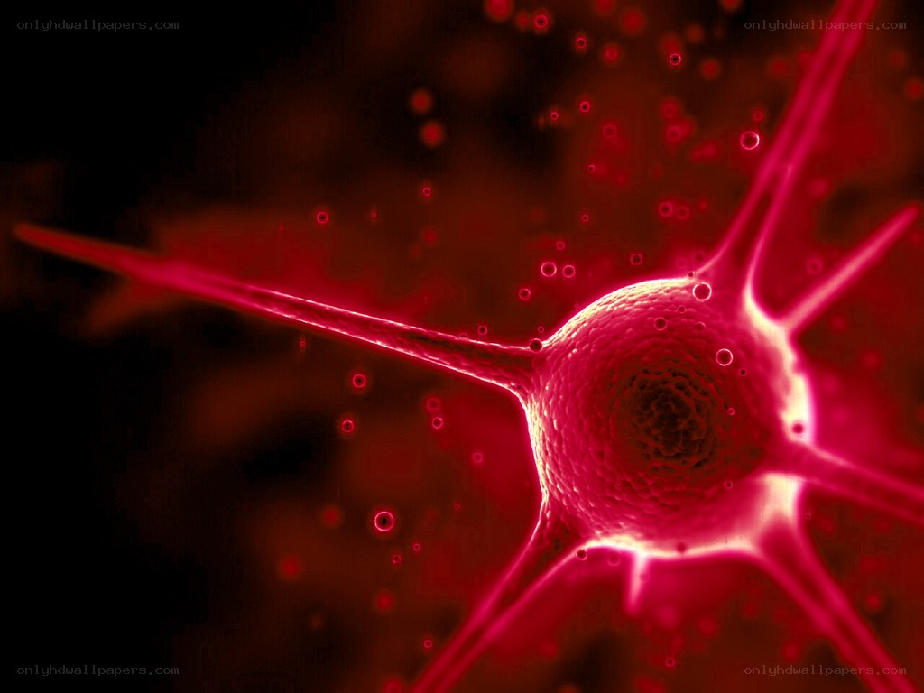 Neuron cell under microscope