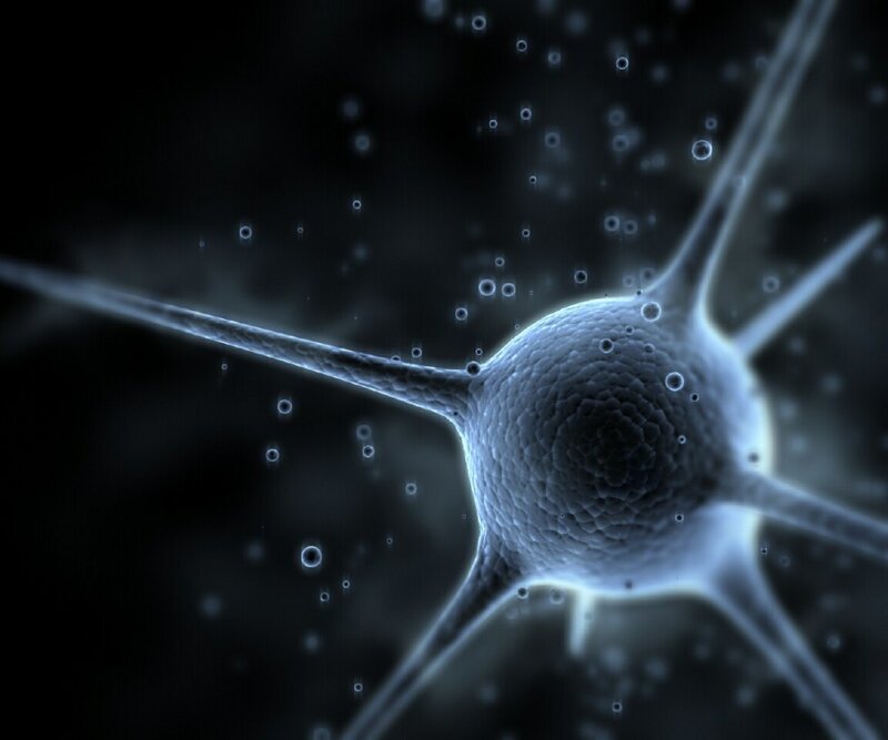 Neuron cell with axons