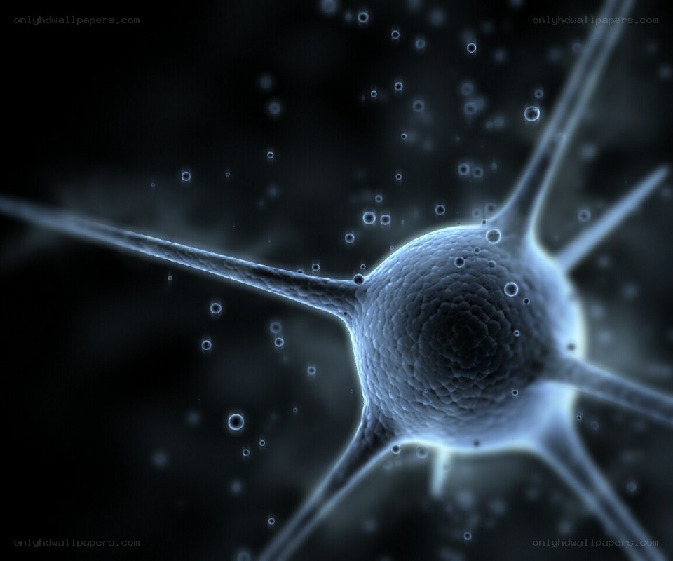 Neuron cell with axons