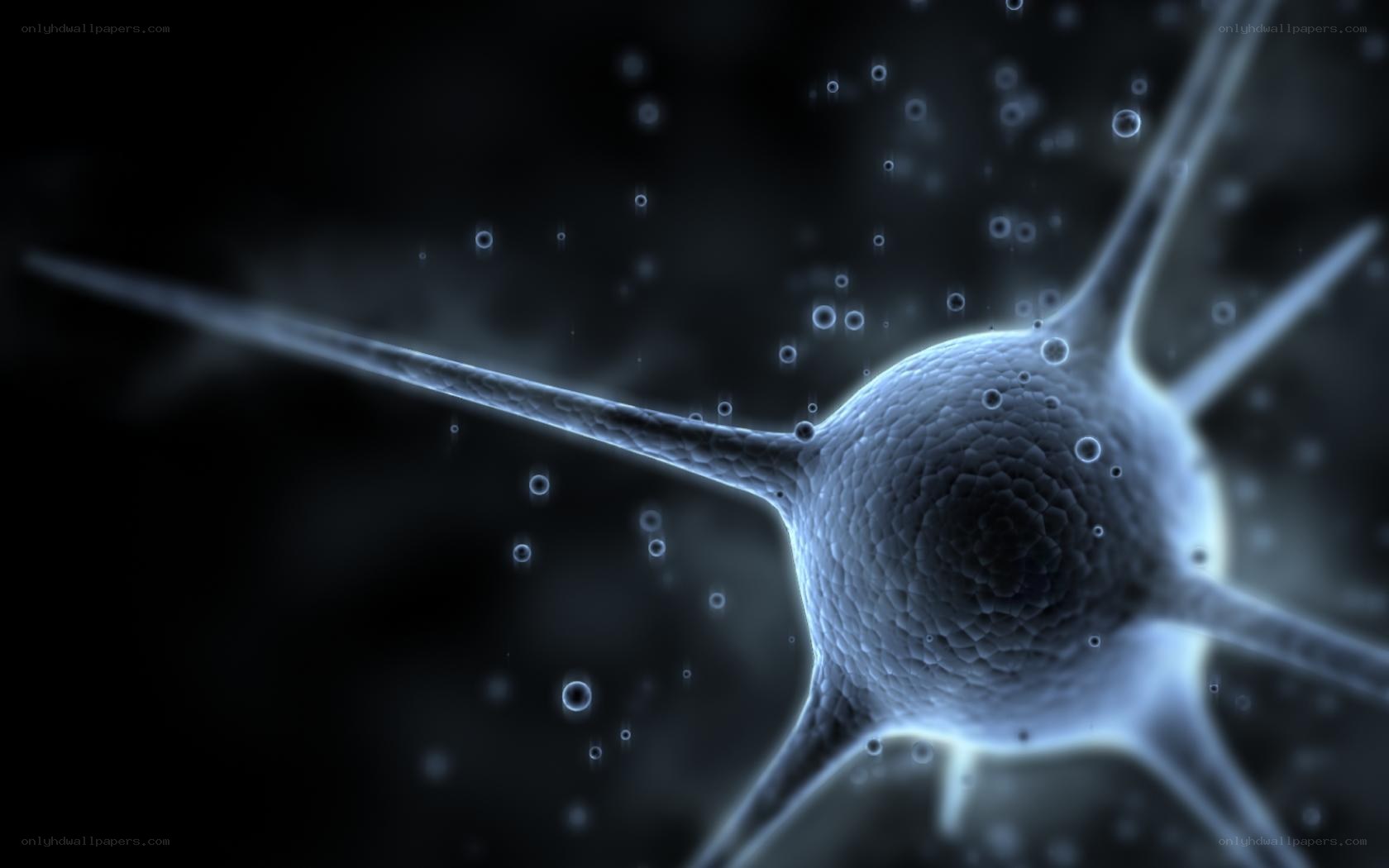 neuron cell with dendrites
