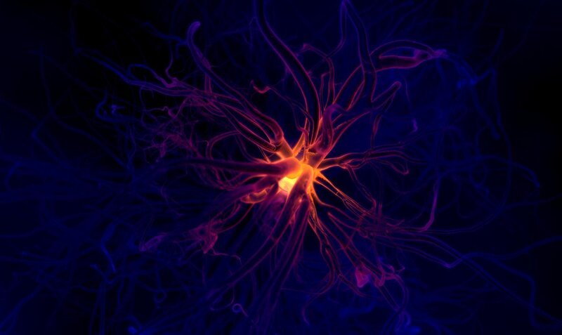 Neuron firing in neural network