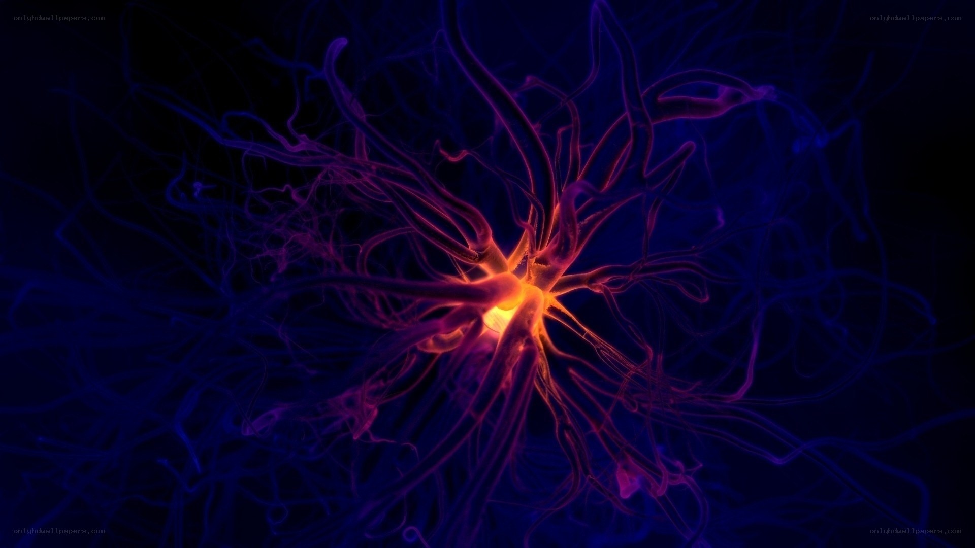 Neuron firing in neural network