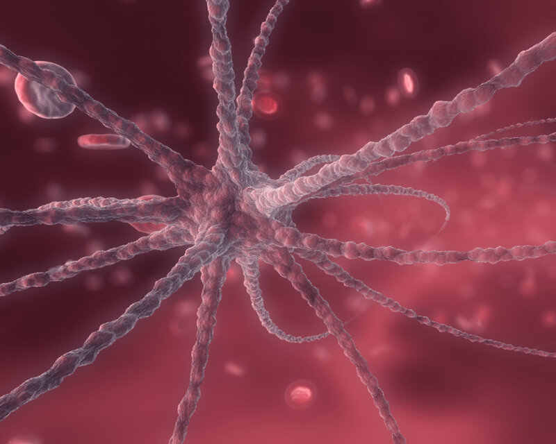 Neuron in blood vessel